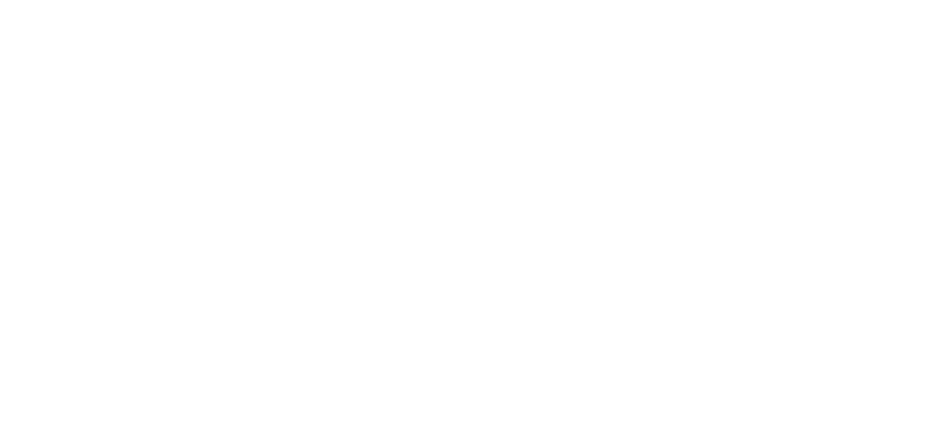 ضمان استعادة الاموال