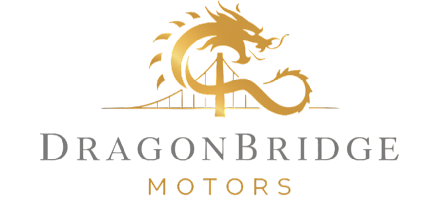 DragonBridgeMotors