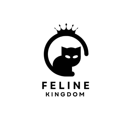 premium style store