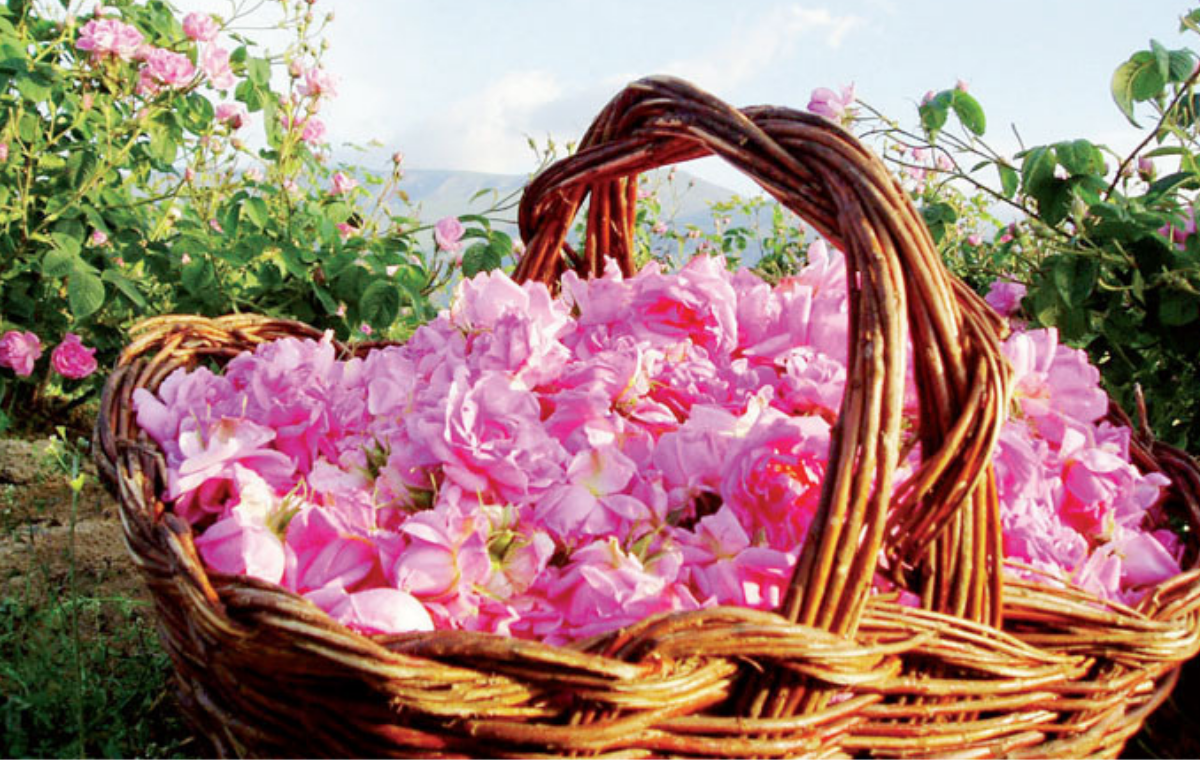 تنمية تراث قلعة مكونة 