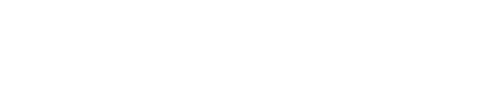 Gadgeni