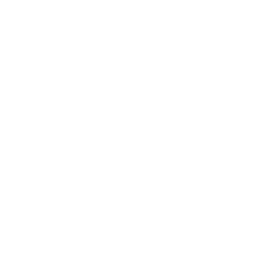 social links