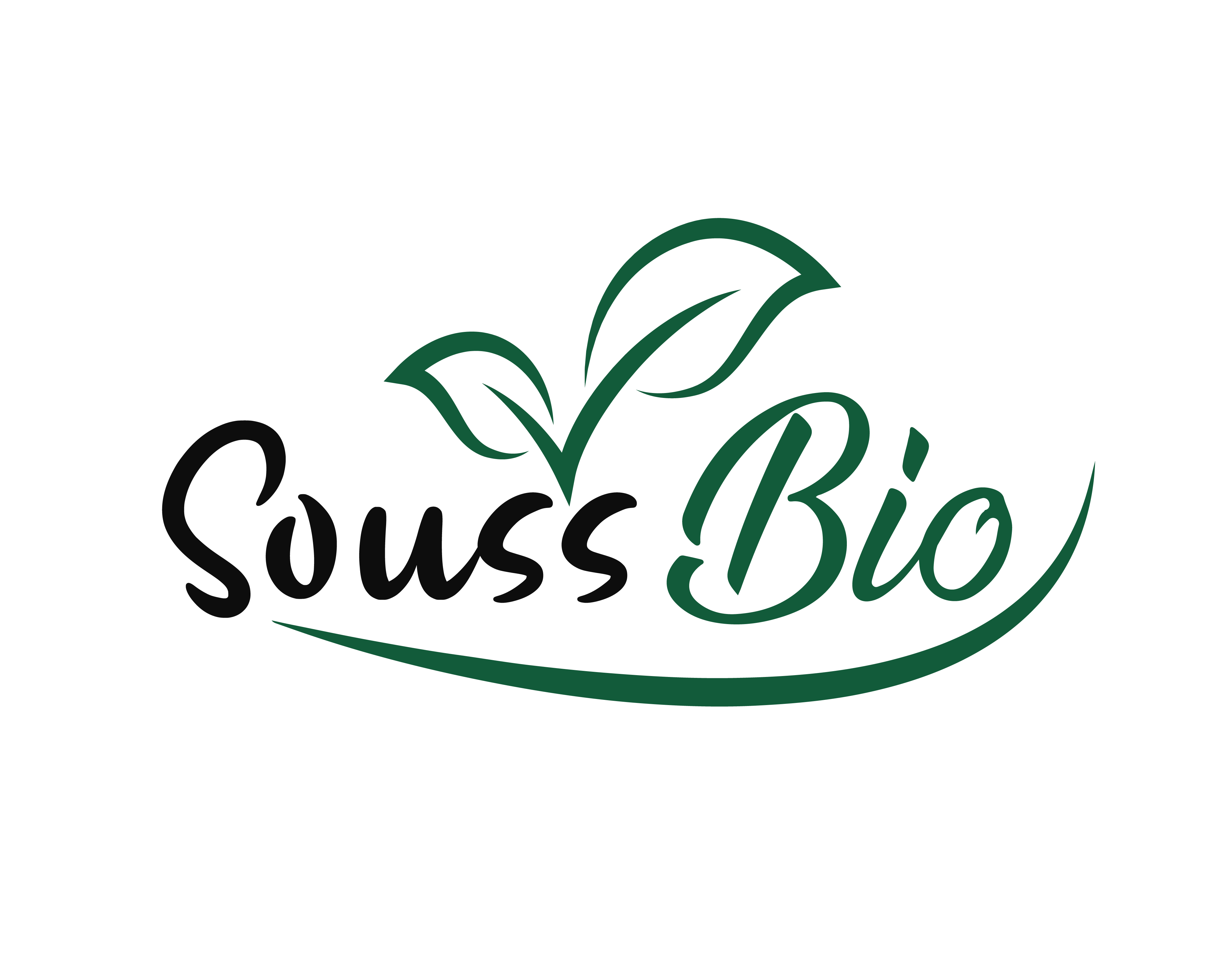 soussbio7