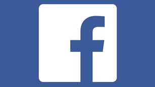 social links